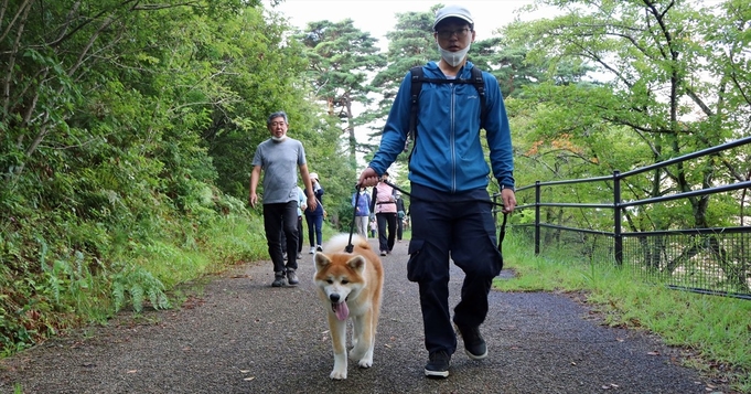 1泊2食付き「秋田犬と散歩」体験パック〜ヘルスツーリズム認証プログラム体験プラン〜